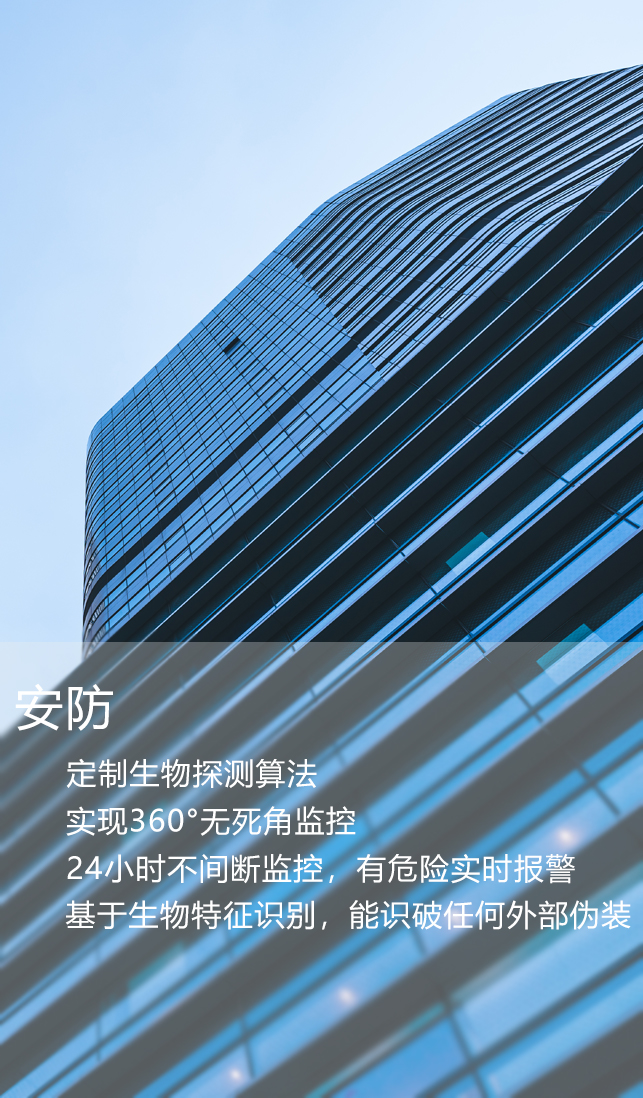 安防-解决方案